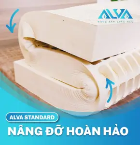 Nệm Cao Su Thiên Nhiên ALVA STANDARD