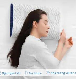 Gối Nằm Foam cao cấp Alva