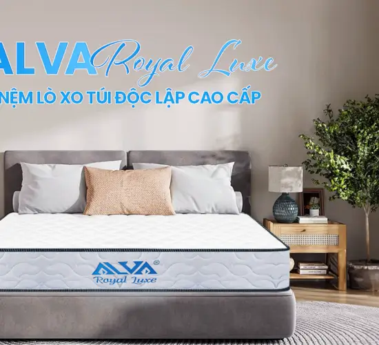 NỆM LÒ XO TÚI ĐỘC LẬP ALVA ROYAL LUXE