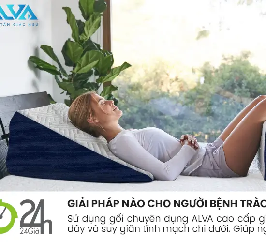 Gối chống Giãn Tĩnh Mạch và trào ngược Dạ Dày ALVA