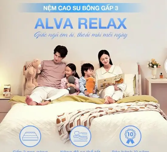 NỆM CAO SU BÔNG GẤP 3 ALVA RELAX