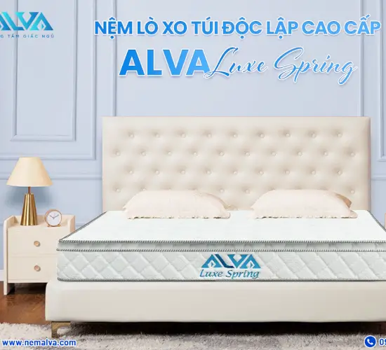 NỆM LÒ XO TÚI ĐỘC LẬP ALVA LUXE SPRING