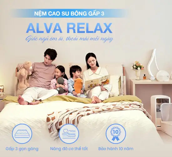 NỆM CAO SU BÔNG GẤP 3 ALVA RELAX