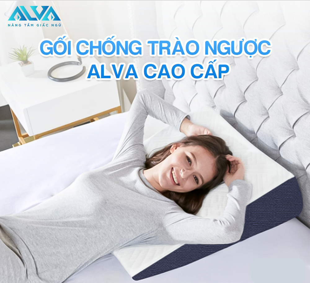 Giải Pháp Cho Giấc Ngủ Trọn Vẹn: Điểm Tuyệt Vời Từ Dòng Gối Trào Ngược Alva
